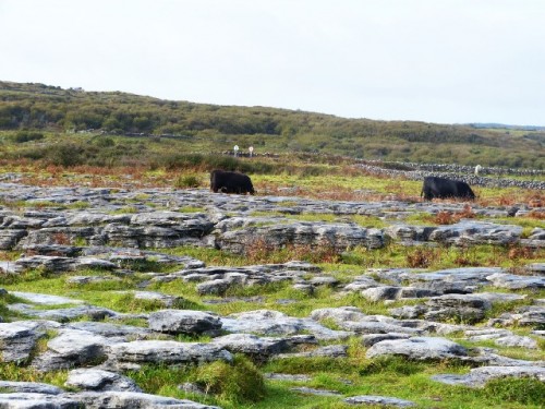 Rocks of Ireland